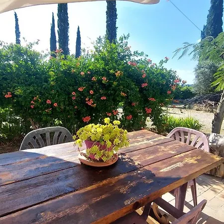 Il Paretaietto Apartamento *